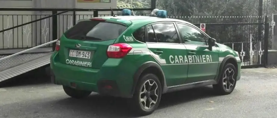 Struttura abusiva nel Parco d'Aspromonte, quattro denunce