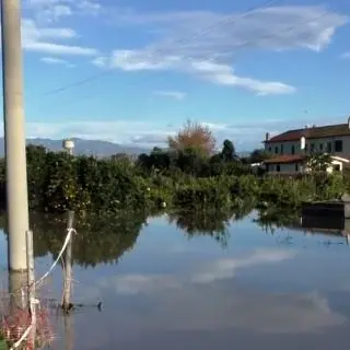 Maltempo in Calabria, Fai Cisl: «Puntare su bonifica e forestazione»