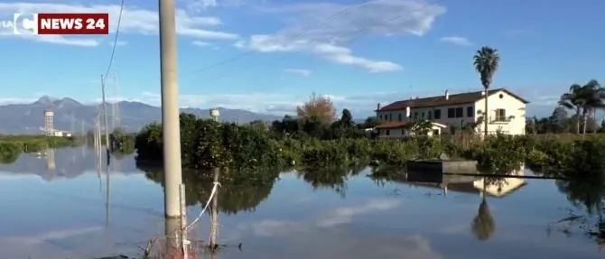 Maltempo in Calabria, Fai Cisl: «Puntare su bonifica e forestazione»