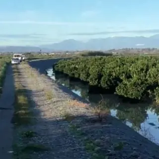 Esondazione Crati, la rabbia degli agricoltori: «Tragedia annunciata e denunciata»