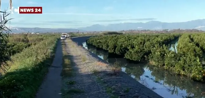 Esondazione Crati, la rabbia degli agricoltori: «Tragedia annunciata e denunciata»