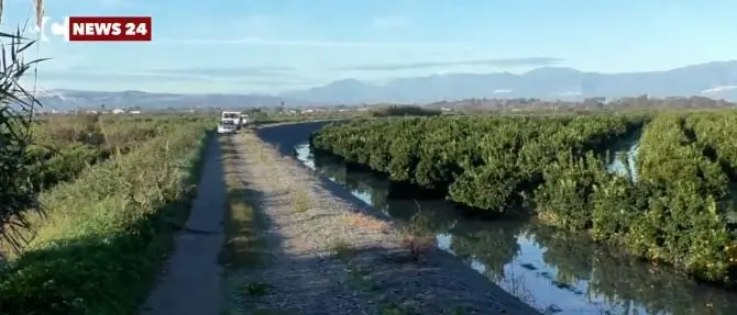 Esondazione Crati, la rabbia degli agricoltori: «Tragedia annunciata e denunciata»