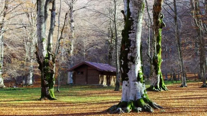 Nasce il Coordinamento delle guide parco calabresi