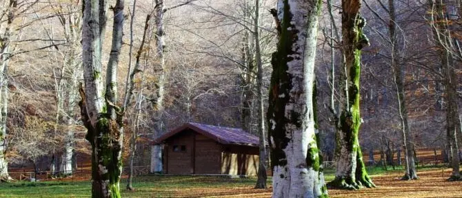 Nasce il Coordinamento delle guide parco calabresi