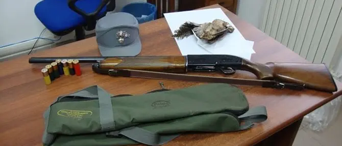 A caccia nel Parco delle Serre, due denunce