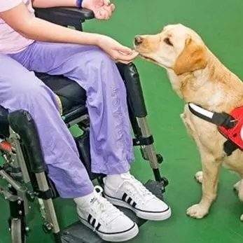 Abbattere tutte le barriere: oggi la Giornata delle persone con disabilità