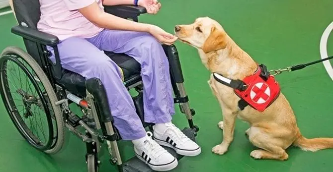 Abbattere tutte le barriere: oggi la Giornata delle persone con disabilità