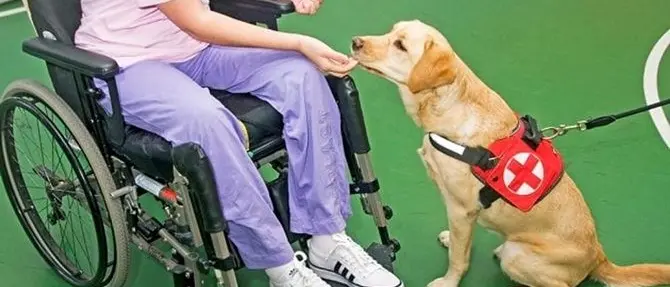 Abbattere tutte le barriere: oggi la Giornata delle persone con disabilità