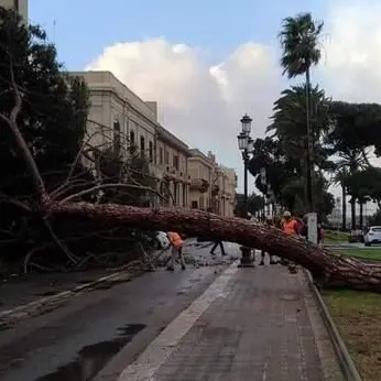 Forti venti di burrasca in Calabria, disagi in diverse zone