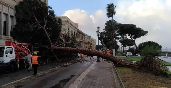 Forti venti di burrasca in Calabria, disagi in diverse zone