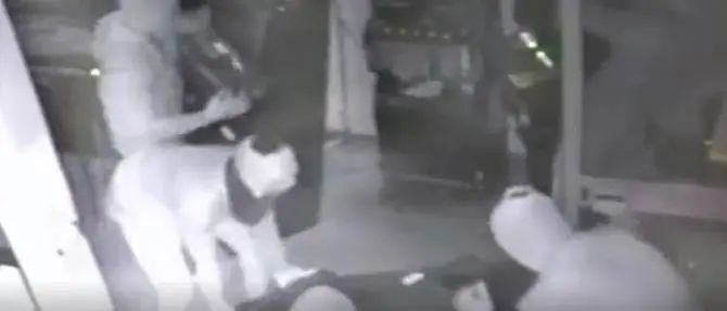 Con mezzi rubati sfondavano negozi da rapinare, presa la banda della “spaccata”