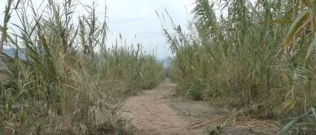 Dissesto idrogeologico, torrenti e fiumi lo spauracchio della Sibaritide