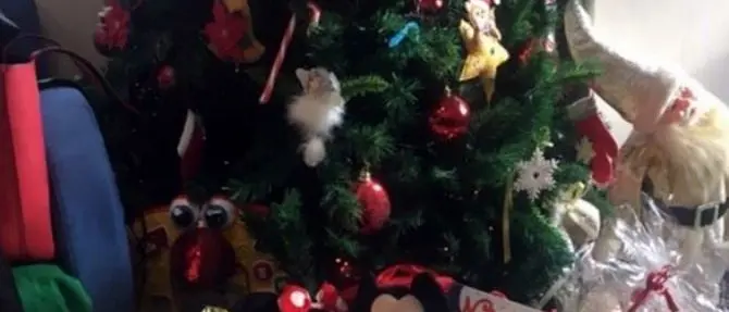 Regali e sorrisi ai piccoli pazienti dell'Onco-ematologia di Reggio