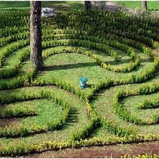 Lamezia, il “giardino dei pensieri ritrovati” per i pazienti di Psichiatria