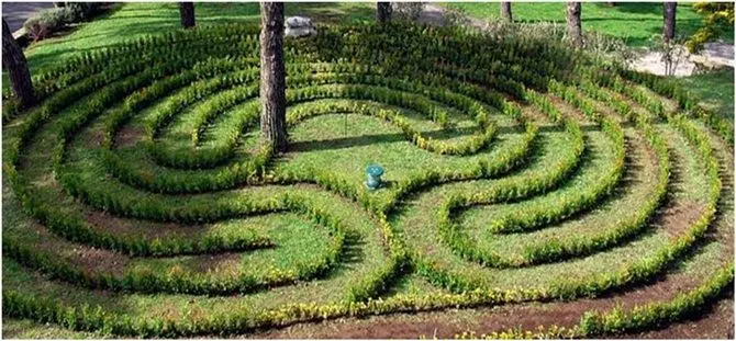 Lamezia, il “giardino dei pensieri ritrovati” per i pazienti di Psichiatria