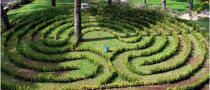 Lamezia, il “giardino dei pensieri ritrovati” per i pazienti di Psichiatria