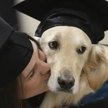 Laurea ad honorem per il cane Griffin che ha aiutato la padrona a studiare