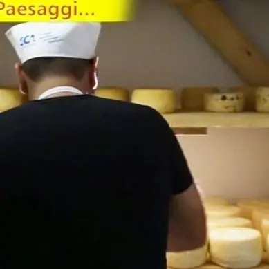 Il pecorino del Poro sbarca a Striscia la notizia
