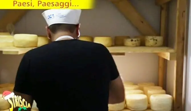 Il pecorino del Poro sbarca a Striscia la notizia