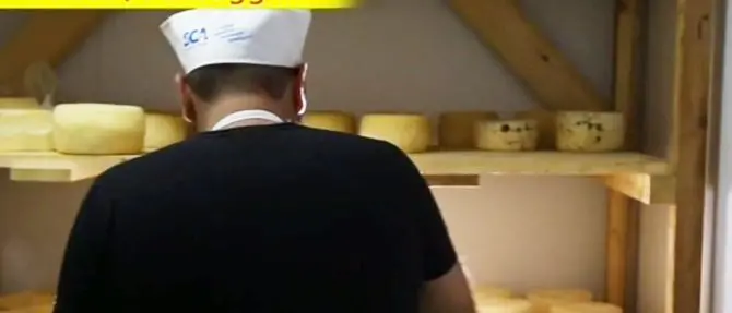 Il pecorino del Poro sbarca a Striscia la notizia