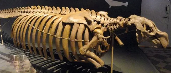 Tropea, il Museo del mare sarà presto realtà