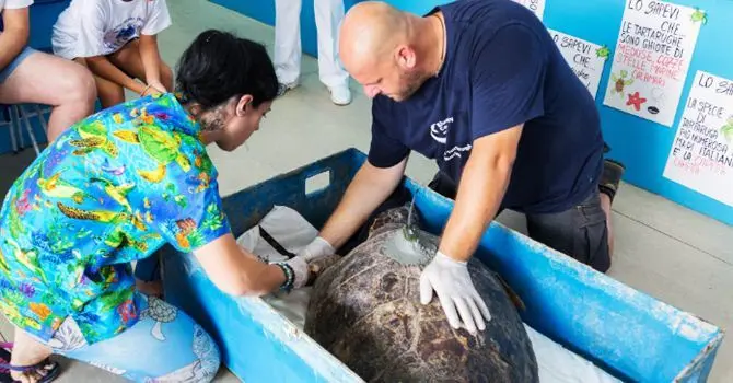 Nessuno sfratto per le tartarughe del Centro di Brancaleone