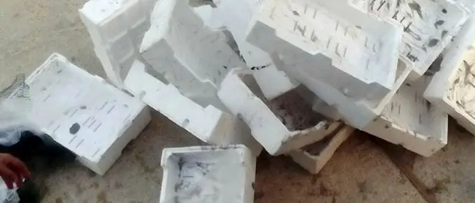 Sequestrati alimenti nel Catanzarese: azione congiunta Asp e Polstrada