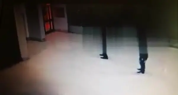 Catanzaro, vandali in azione in galleria Mancuso: acquisite le immagini (Video)