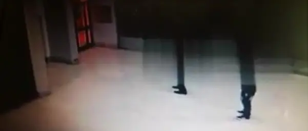 Catanzaro, vandali in azione in galleria Mancuso: acquisite le immagini (Video)