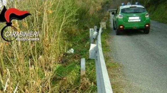 Carabinieri forestale Reggio Calabria denunciano due persone che rubavano traversine dei guard rail stradali , ANSA