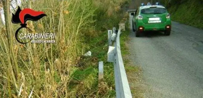 Rubano parti di guard rail per rivendere il metallo: denunciati due giovani