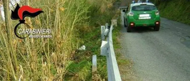 Rubano parti di guard rail per rivendere il metallo: denunciati due giovani