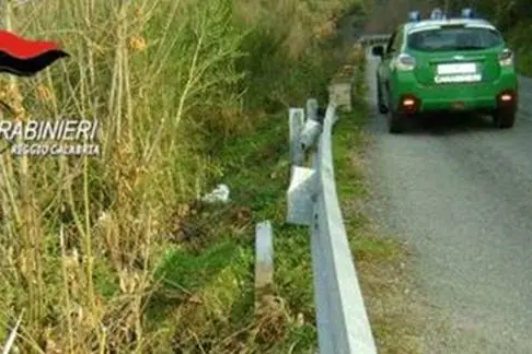 Carabinieri forestale Reggio Calabria denunciano due persone che rubavano traversine dei guard rail stradali , ANSA