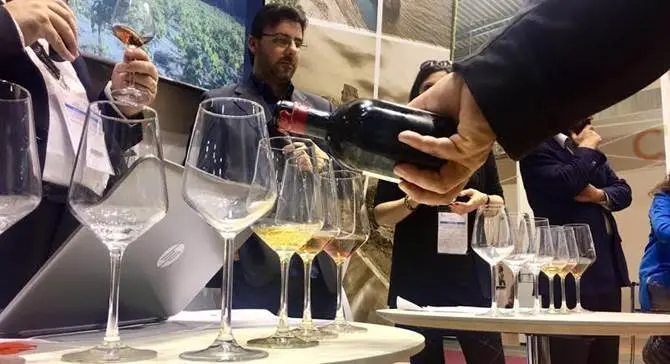 Vinitaly: esordio di successo per i vini calabresi