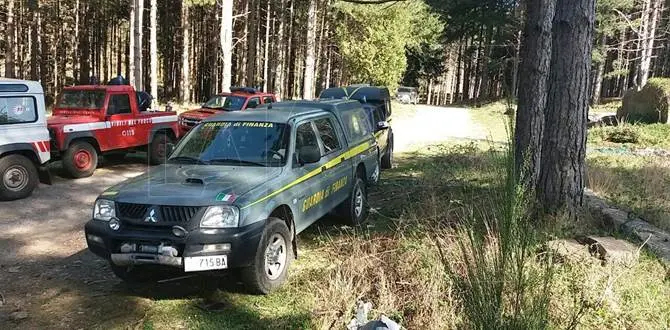 Cosenza, nei boschi dell'Appennino paolano si cerca Damiano Oriolo