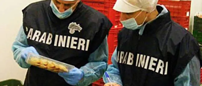 Controlli agroalimentari nel Reggino: sanzioni per oltre 8700 euro