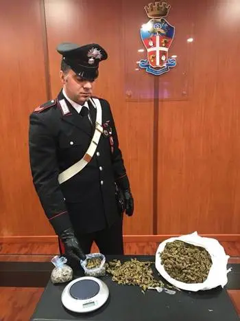 Cosenza, in possesso di quasi un chilo di marijuana: arrestato