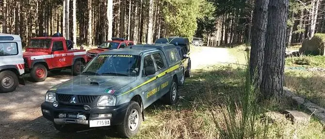 Scomparsa Damiano Oriolo: da domani impiego di cani molecolari