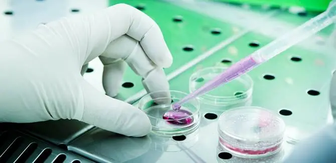 Diabete: a una studiosa catanzarese il “Premio Galeno” (FOTO)