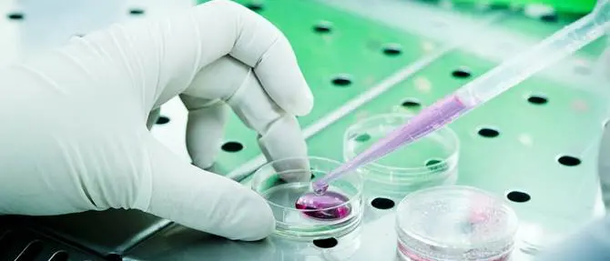 Diabete: a una studiosa catanzarese il “Premio Galeno” (FOTO)