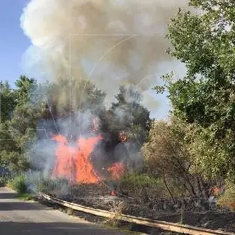 La Calabria flagellata dalle fiamme, ancora incendi in diverse zone