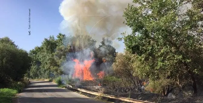 La Calabria flagellata dalle fiamme, ancora incendi in diverse zone