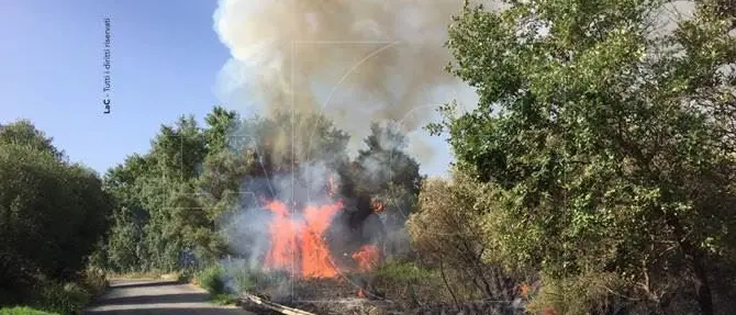 La Calabria flagellata dalle fiamme, ancora incendi in diverse zone