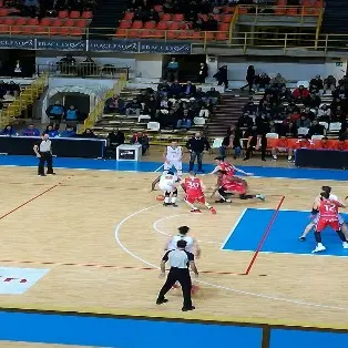 BASKET | Viola, a Scafati per il terz’ultimo posto