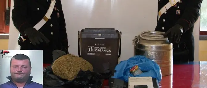 Un chilo e mezzo di marijuana sotto un cespuglio, un arresto nel Catanzarese