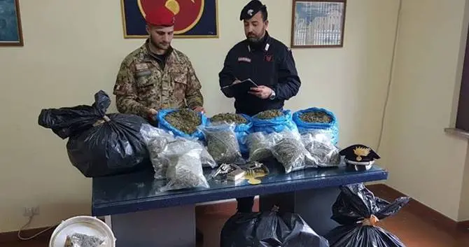 Quaranta chili di marijuana nei sacchi della spazzatura: 2 arresti nel Vibonese