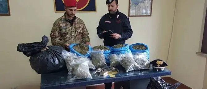 Quaranta chili di marijuana nei sacchi della spazzatura: 2 arresti nel Vibonese