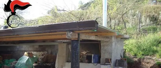 Parco d’Aspromonte, sequestrata stalla “abusiva” nel comune di Mammola