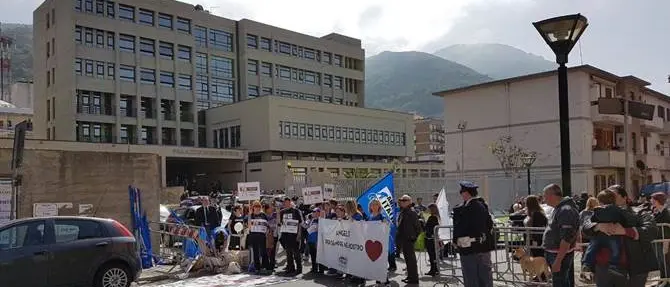 Cane torturato e ucciso a Sangineto: processo iniziato e subito rinviato