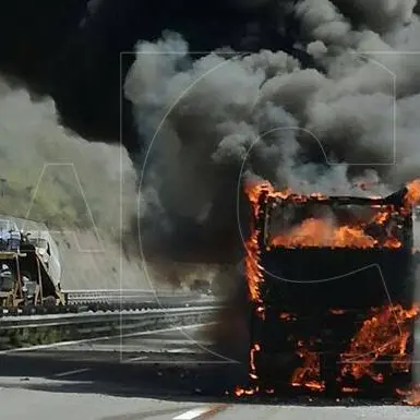 Salerno-Reggio, autobus in fiamme: salvi gli occupanti (VIDEO)